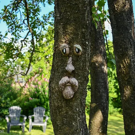 Confort Au Coeur Du Parc National De La Vallee De La Semois Feriehus Ucimont